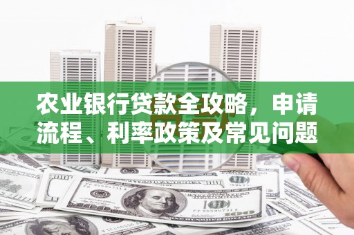 双阳农业银行贷款全攻略，申请流程、利率政策及常见问题解析