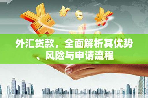 双阳外汇贷款，全面解析其优势、风险与申请流程
