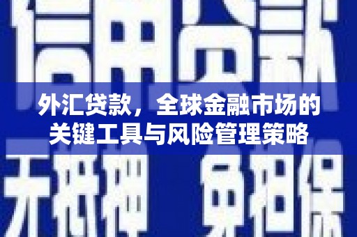 双阳外汇贷款，全球金融市场的关键工具与风险管理策略