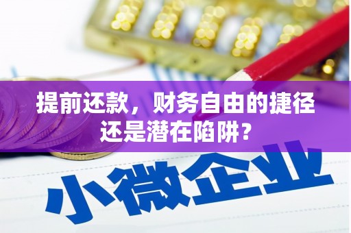 双阳提前还款，财务自由的捷径还是潜在陷阱？
