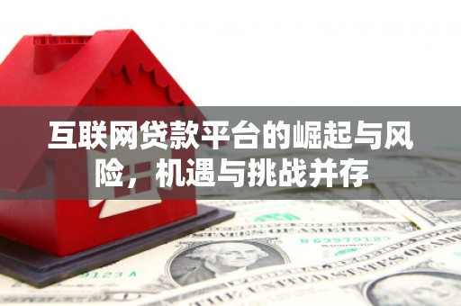 双阳互联网贷款平台的崛起与风险，机遇与挑战并存