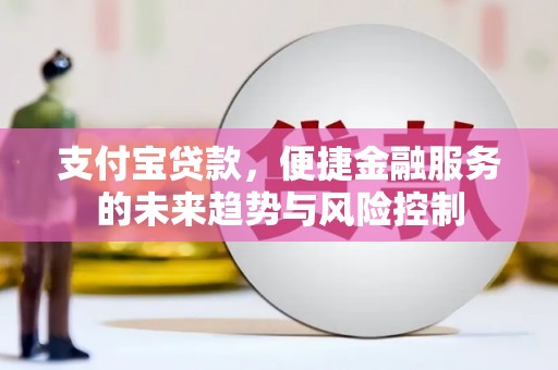 双阳支付宝贷款，便捷金融服务的未来趋势与风险控制