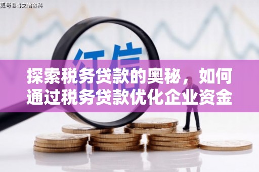 双阳探索税务贷款的奥秘，如何通过税务贷款优化企业资金流