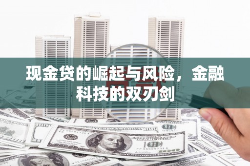 双阳现金贷的崛起与风险，金融科技的双刃剑