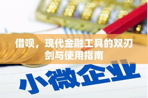 双阳借呗，现代金融工具的双刃剑与使用指南