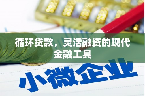 双阳循环贷款，灵活融资的现代金融工具