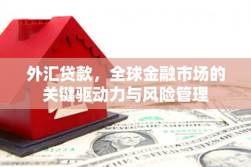 双阳外汇贷款，全球金融市场的关键驱动力与风险管理