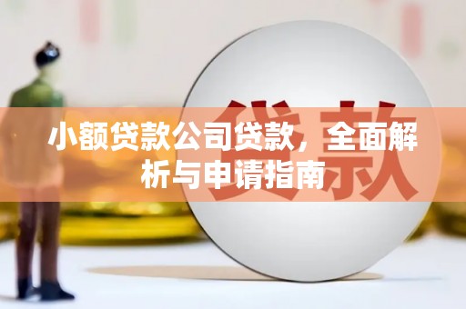 双阳小额贷款公司贷款，全面解析与申请指南