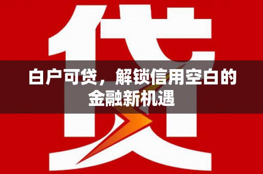 双阳白户可贷，解锁信用空白的金融新机遇