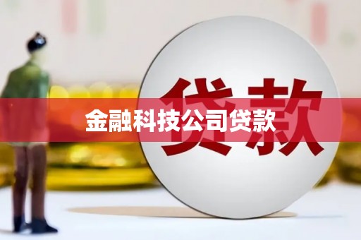 双阳金融科技公司贷款