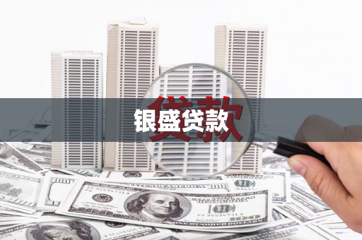 双阳银盛贷款