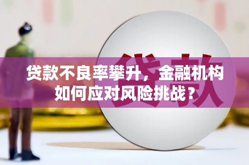 双阳贷款不良率攀升，金融机构如何应对风险挑战？