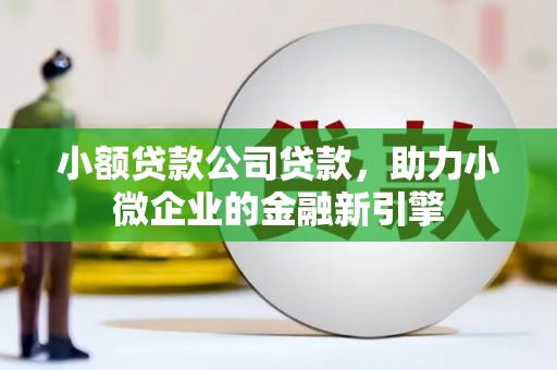 双阳小额贷款公司贷款，助力小微企业的金融新引擎