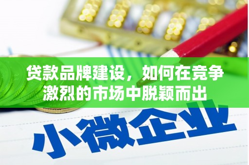 双阳贷款品牌建设，如何在竞争激烈的市场中脱颖而出