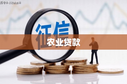 双阳农业贷款