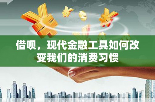 双阳借呗，现代金融工具如何改变我们的消费习惯