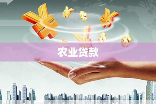 双阳农业贷款