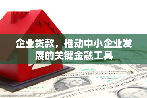 双阳企业贷款，推动中小企业发展的关键金融工具
