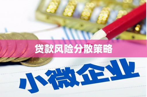 双阳贷款风险分散策略