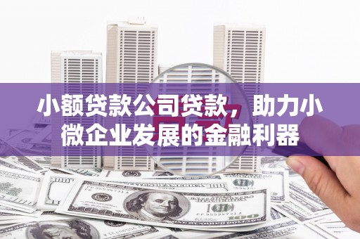 双阳小额贷款公司贷款，助力小微企业发展的金融利器