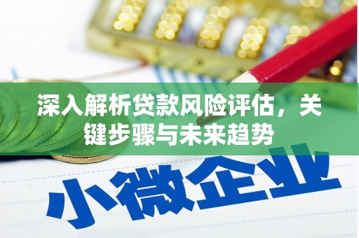 双阳深入解析贷款风险评估，关键步骤与未来趋势