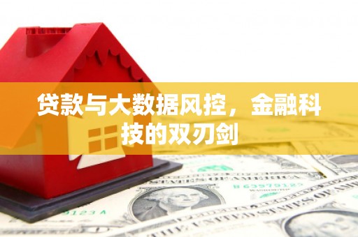 双阳贷款与大数据风控，金融科技的双刃剑