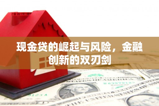 双阳现金贷的崛起与风险，金融创新的双刃剑