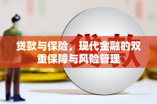 双阳贷款与保险，现代金融的双重保障与风险管理