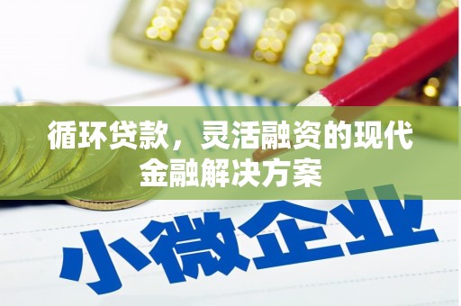 双阳循环贷款，灵活融资的现代金融解决方案
