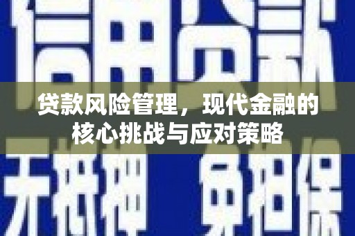 双阳贷款风险管理，现代金融的核心挑战与应对策略