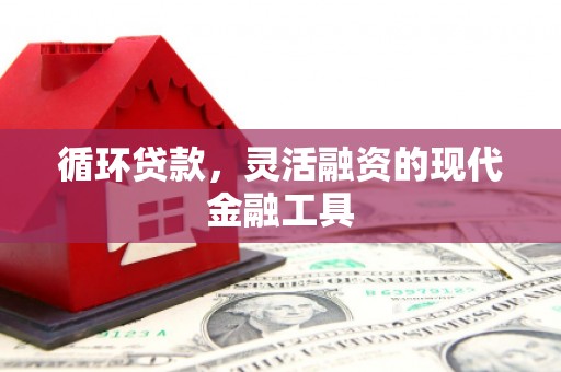 双阳循环贷款，灵活融资的现代金融工具
