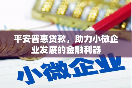 双阳平安普惠贷款，助力小微企业发展的金融利器