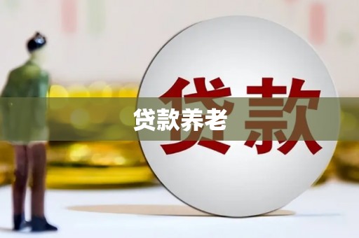 双阳贷款养老