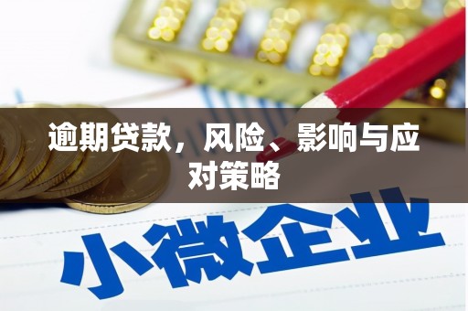 双阳逾期贷款，风险、影响与应对策略