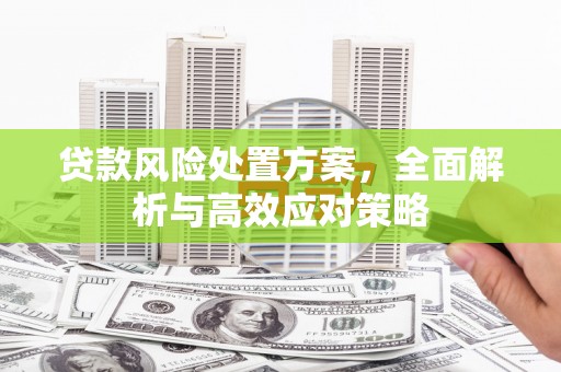 双阳贷款风险处置方案，全面解析与高效应对策略