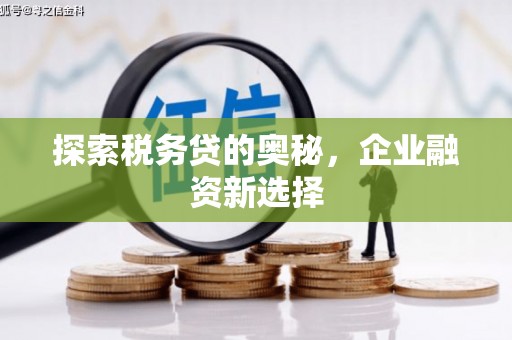 双阳探索税务贷的奥秘，企业融资新选择