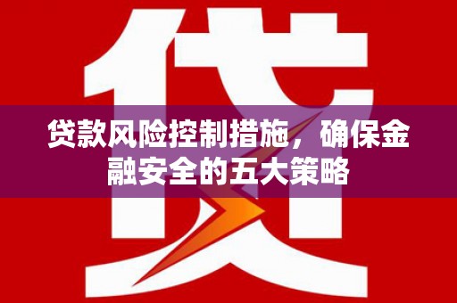双阳贷款风险控制措施，确保金融安全的五大策略