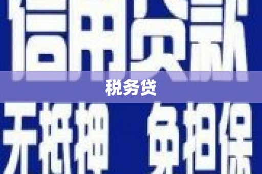 双阳税务贷
