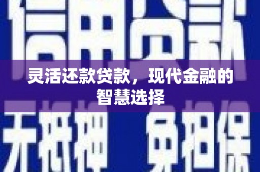 双阳灵活还款贷款，现代金融的智慧选择