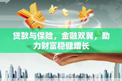 双阳贷款与保险，金融双翼，助力财富稳健增长