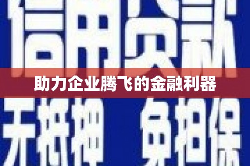双阳助力企业腾飞的金融利器