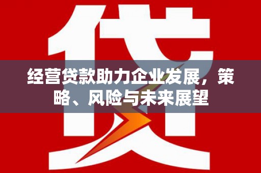 双阳经营贷款助力企业发展，策略、风险与未来展望