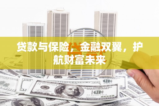 双阳贷款与保险，金融双翼，护航财富未来