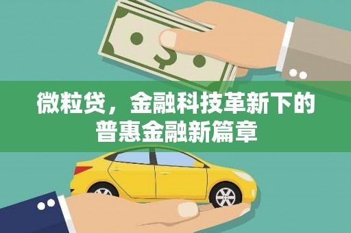 双阳微粒贷，金融科技革新下的普惠金融新篇章
