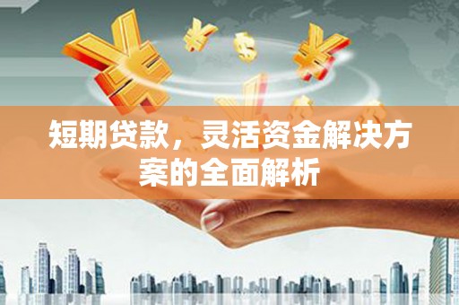 双阳短期贷款，灵活资金解决方案的全面解析