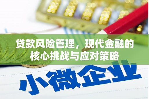 双阳贷款风险管理，现代金融的核心挑战与应对策略