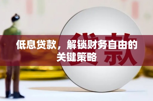 双阳低息贷款，解锁财务自由的关键策略