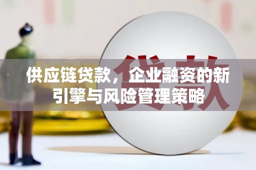 双阳供应链贷款，企业融资的新引擎与风险管理策略