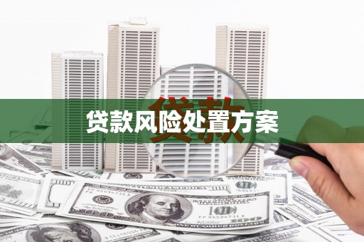 双阳贷款风险处置方案