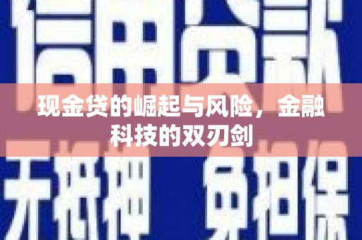 双阳现金贷的崛起与风险，金融科技的双刃剑